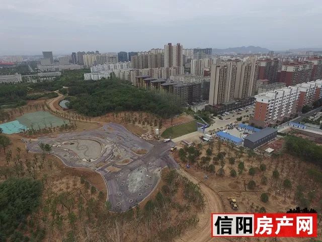 最新消息信阳羊山森林植物园有新动态附现场航拍图