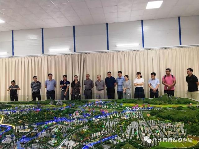 自治区自然资源厅到苍梧县开展新县城建设实地调研
