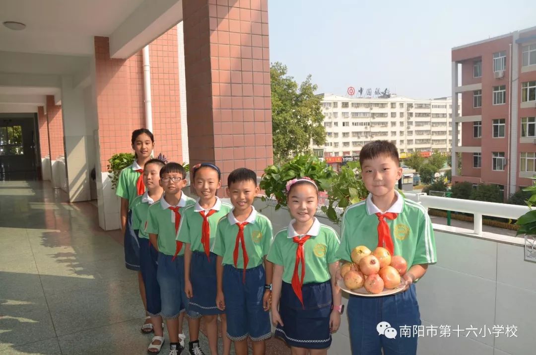 感恩秋实收获幸福南阳市第十六小学校本四季课程之秋实节