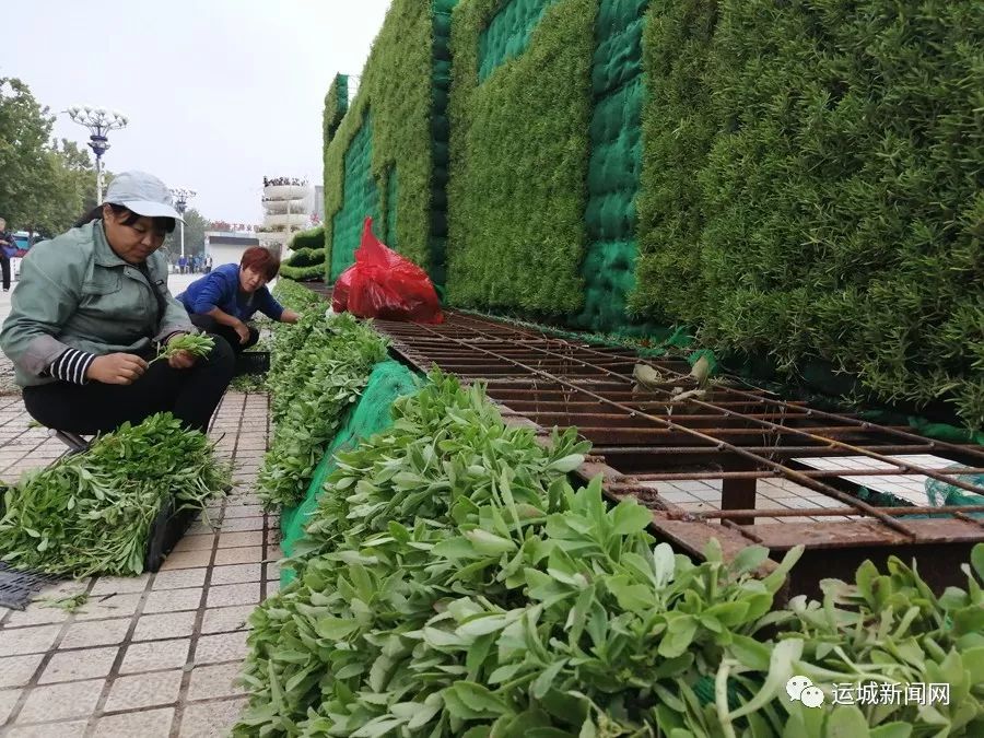 运城市里人口_运城学院(2)