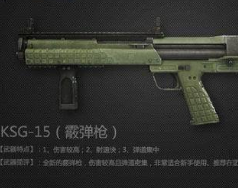 cf:4把"臭名昭著"的散弹枪,最后一把只有大神可以驾驭
