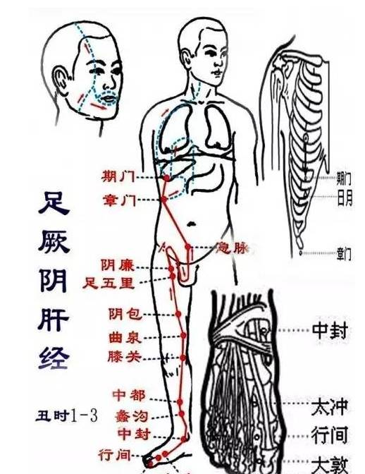 人体14条经络,一通百通,一堵百堵!