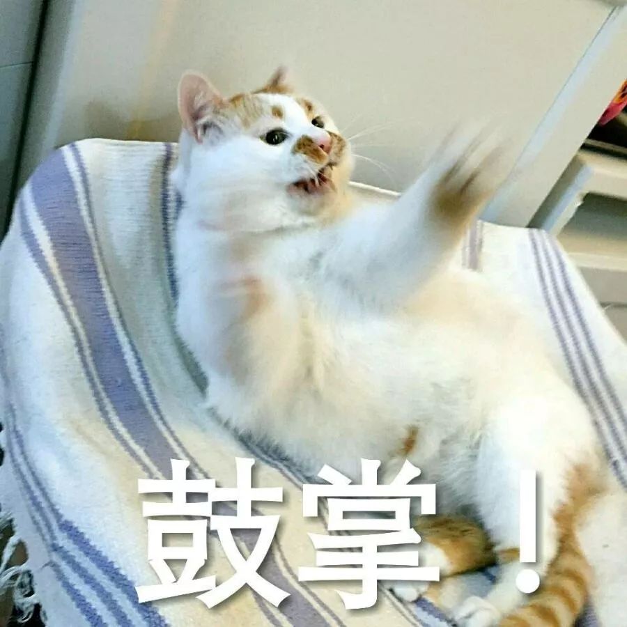 ef4e0fbe54554919a5d2616a47514f41.jpeg
