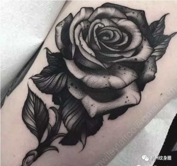 tattoo | 纹身素材:黑玫瑰