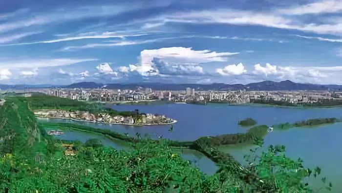 肇庆哪里最富  肇庆市82019年上半年地方财收入排名