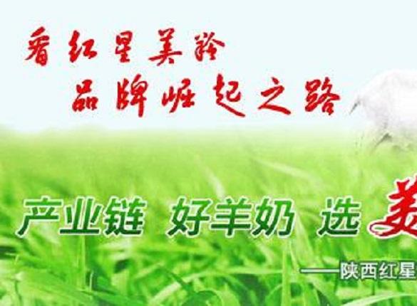 紅星美羚:高管變動似"走馬燈",保薦人和評估師齊上"黑名單" 紅星美羚:高管變動似"走馬燈",保薦人和評估師齊上"黑名單"