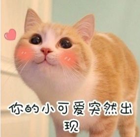 fe15fcaed6b8410dba822f12d78f60a8.jpeg