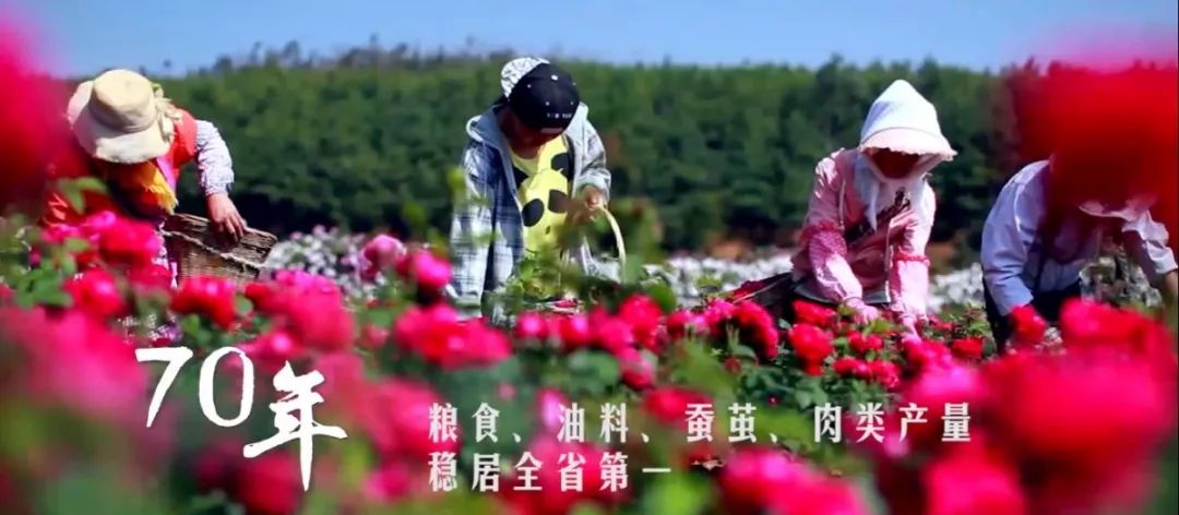 曲靖gdp来源_曲靖南城门图片