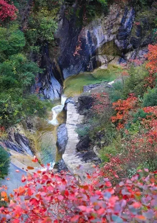 杨地镇人口_商洛市山阳县杨地镇