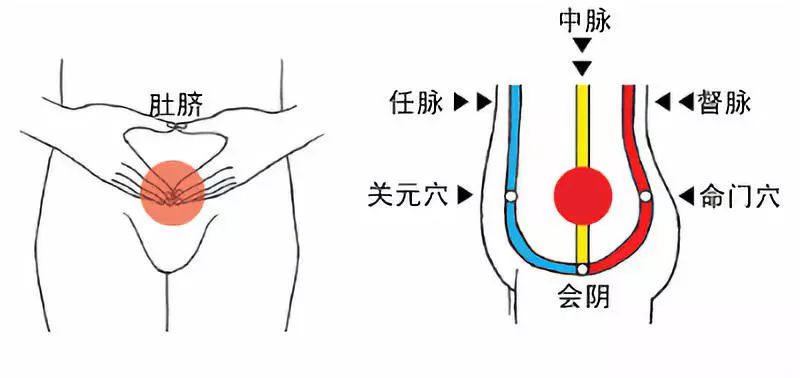 关于气沉丹田的心法口诀转