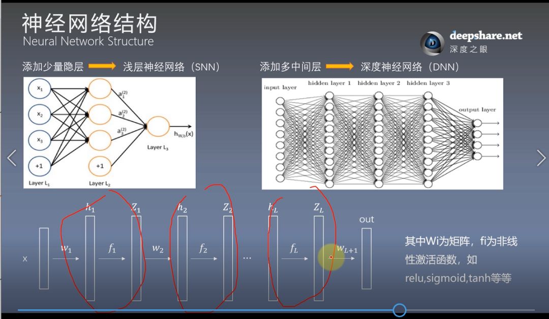 的作者