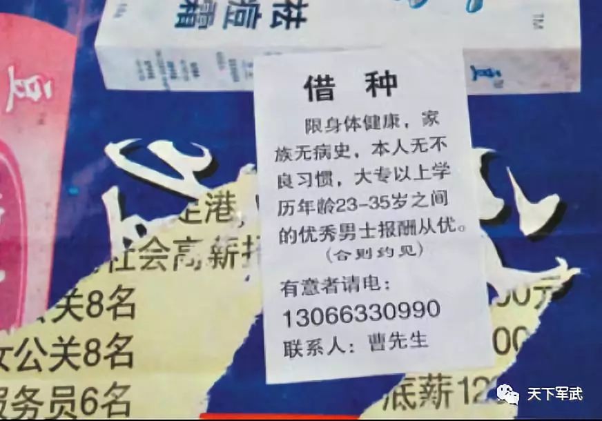 编妹丨成为一个重金求子的富婆应该具备哪些条件?