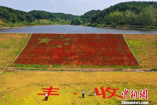 湖北脱贫人口_湖北地图(3)