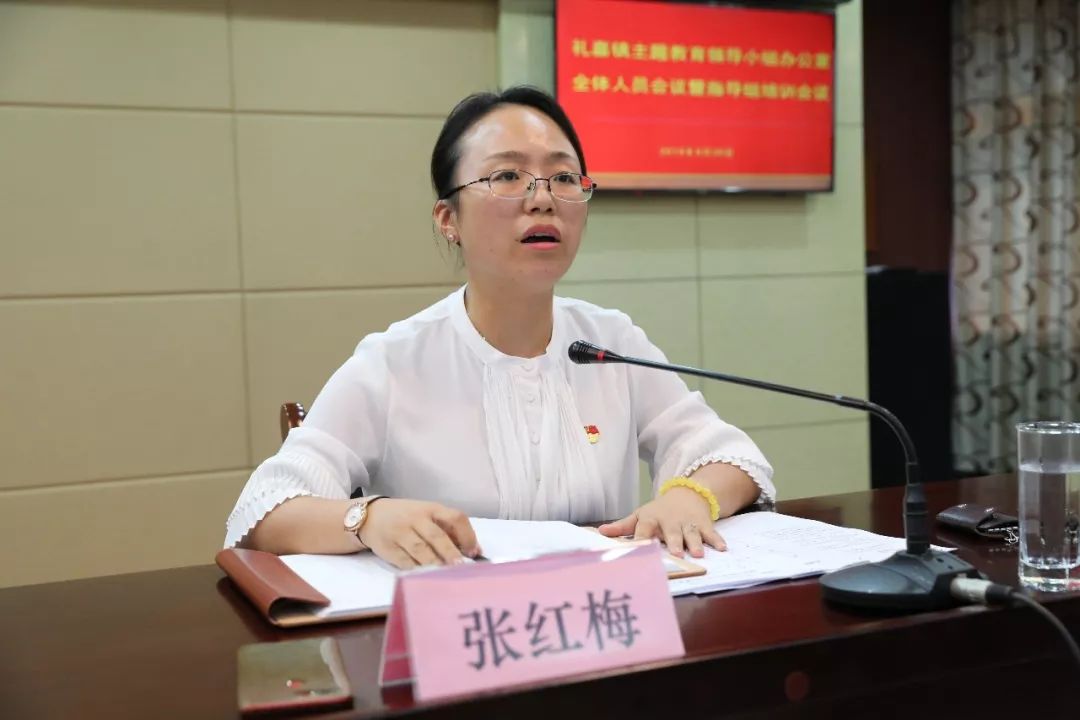 礼嘉镇人口_人口普查(2)
