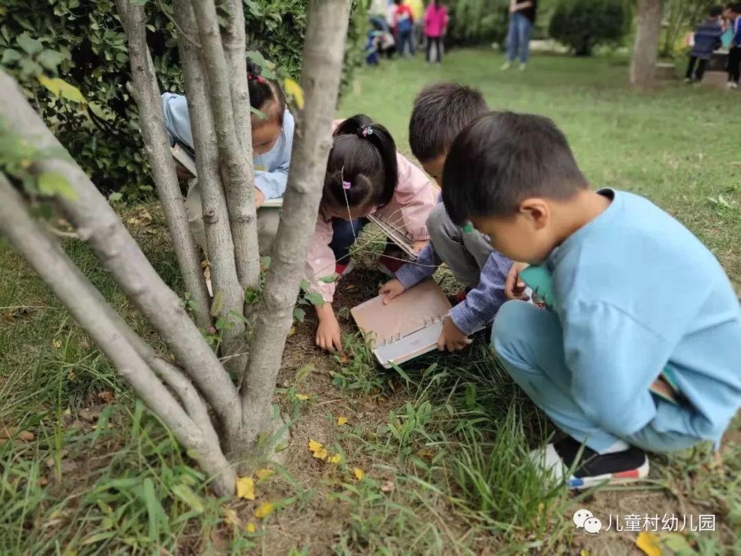 自然教育探索秋天的奥秘儿童村幼儿园自然特色活动