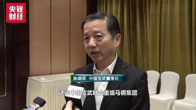 宝武董事长(2)