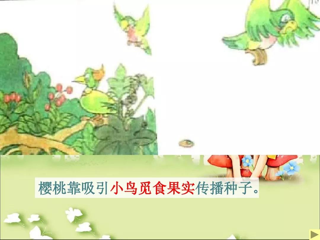 部编版小学二年级语文上册第3课植物妈妈有办法知识点图文解读