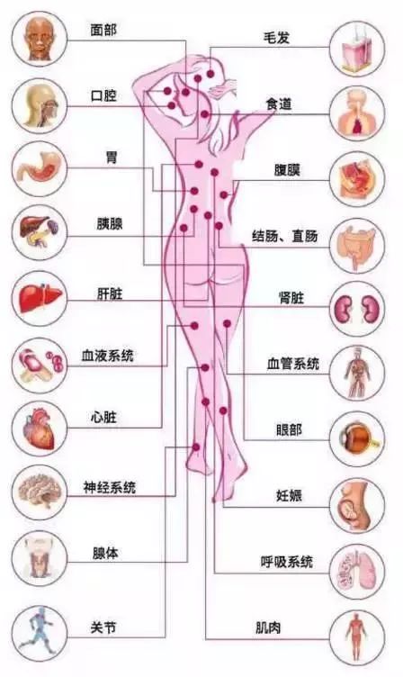 大自然的偏见这种病会攻击全身器官竟然能让9成女性中招