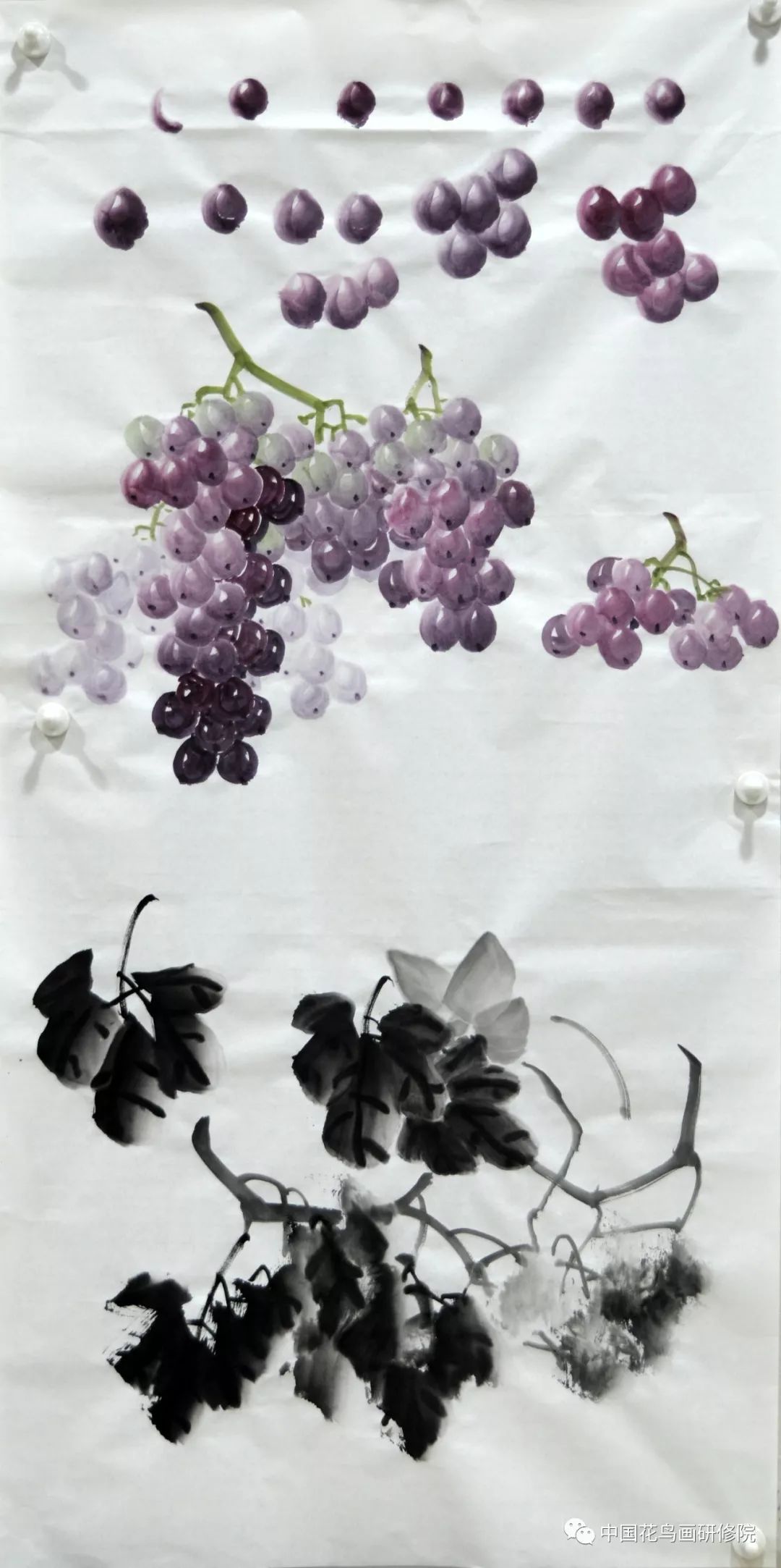 墨葡萄,彩葡萄,彩叶葡萄及一篮葡萄分别为学员们讲解了葡萄的各种画法
