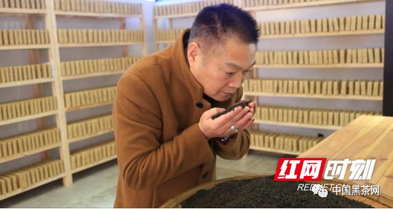 白沙溪茶厂周年庆典人物特辑|肖益平:救回千两茶的中国制茶大师