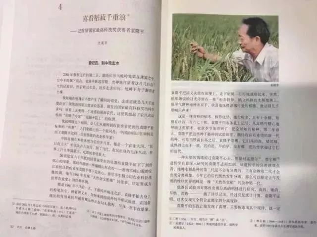 成语文什么相什么_语文手抄报(2)