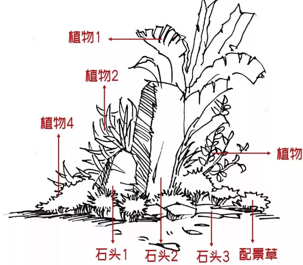 置石的比例比较大,可以直接采用这组,很多岩石园,或者独立的植物组团