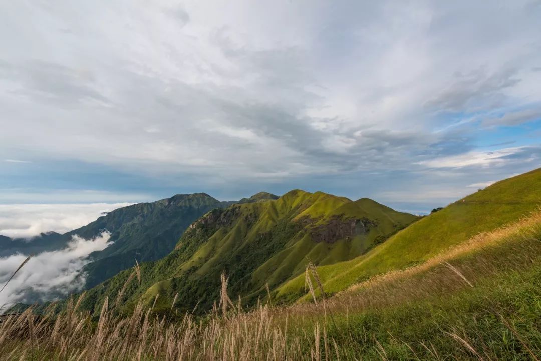 武功山0375景区开放时间:09:00-17:3090门票价格:98/人94地点