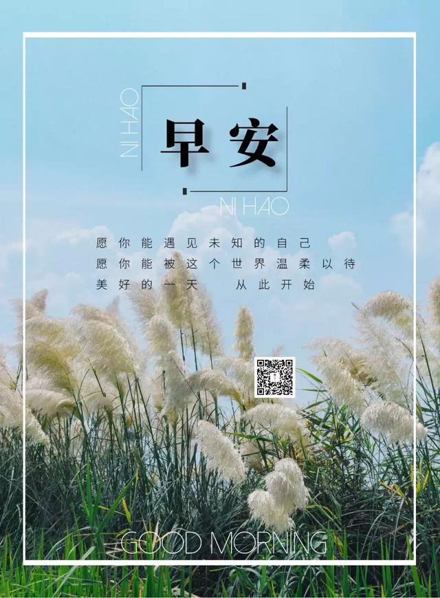 早安问候:珍惜最真的情感,感受最近的幸福,享受最美的