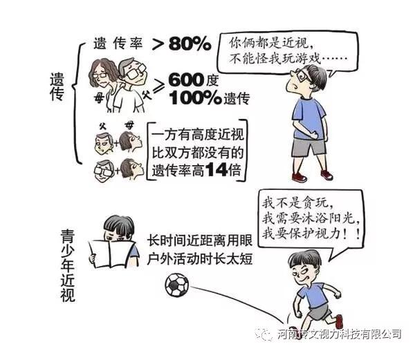 人类的视力发育可分为以下七阶段