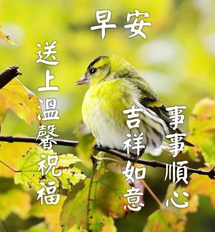 9月21日星期六早上好问候语图片大全 秋天早上好祝福表情动态图