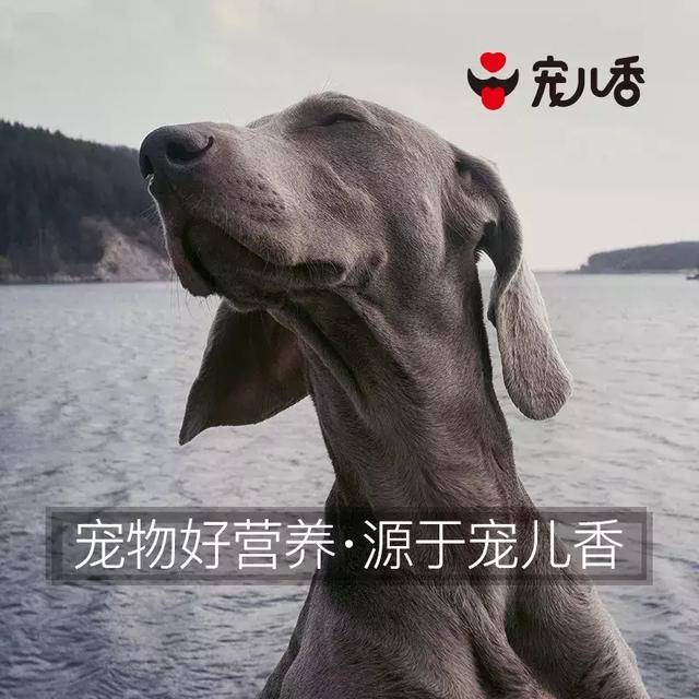 7ce00774f9c64236b87cbe8f381419ef.jpeg