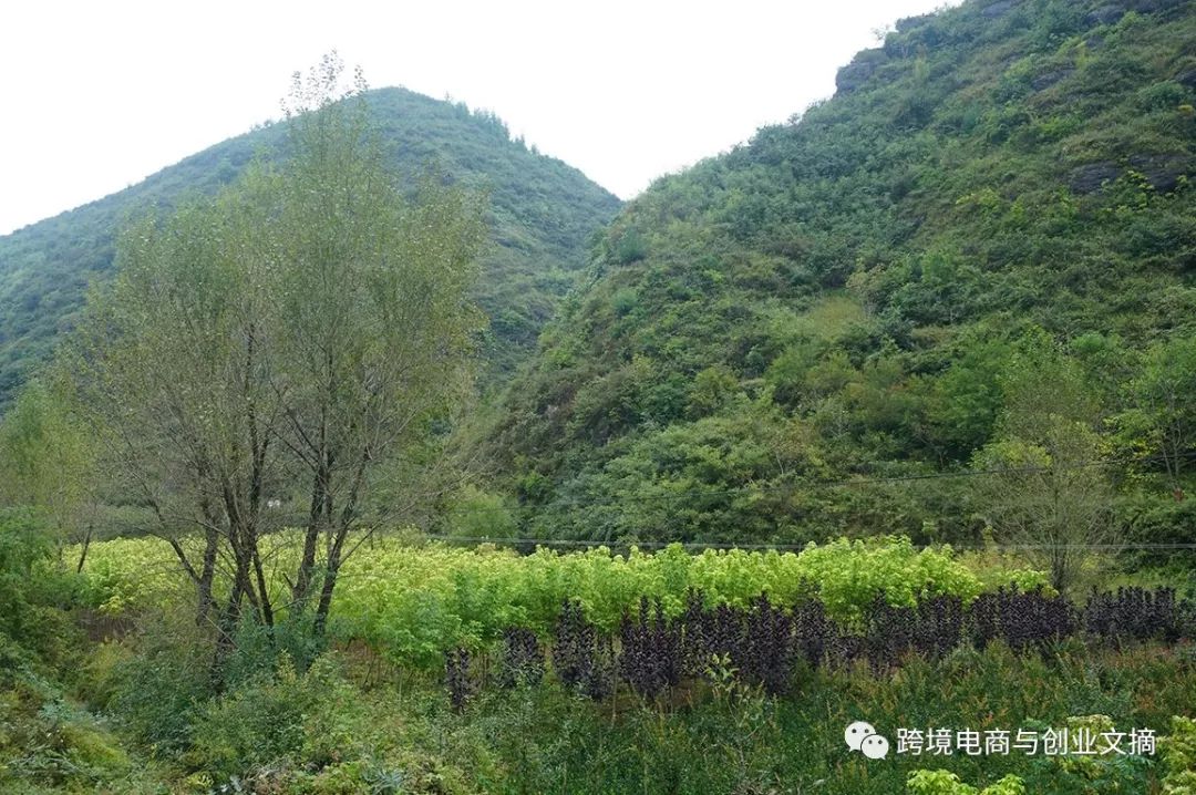 叶成县人口_甘肃陇南成县图片(2)