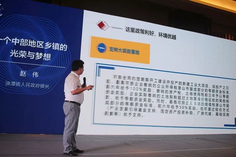 潜山市源潭镇GDp_潜山市源潭镇规划图(3)