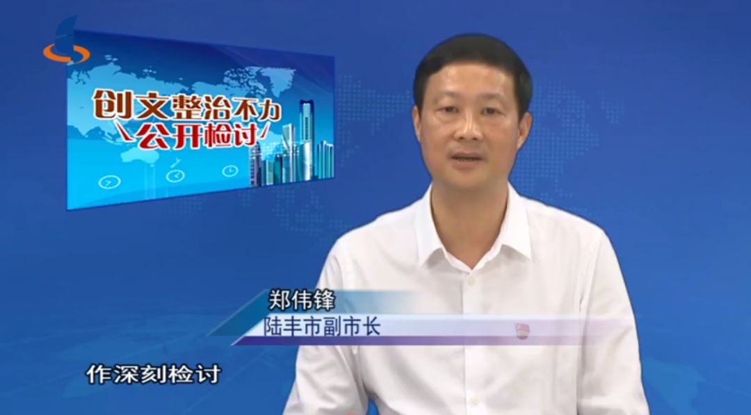 陆丰副市长上电视台检讨