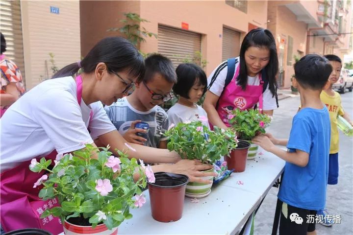 善美太平 巾帼聚沥|亲子家庭识花,种花,以花为媒,以家风促乡风,助力