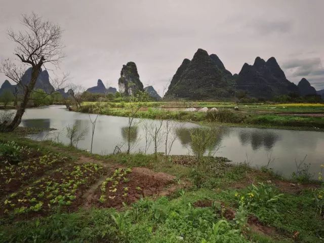 沐峰村人口(2)