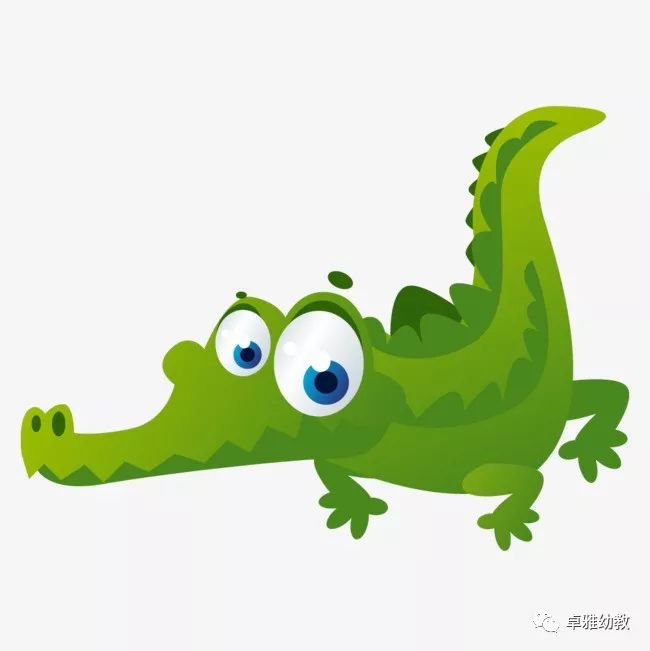 【班级掠影】济南市历下区卓雅幼儿园 大一班:鳄鱼来啦!