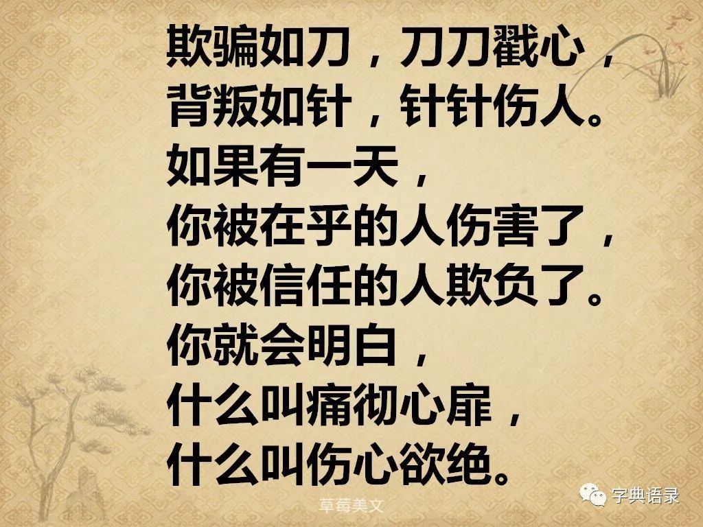 《真心,钱不买不到》,付出真心,换来伤心,剩下寒心