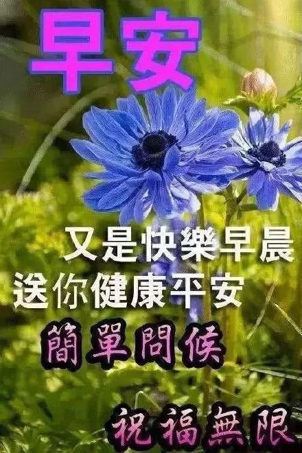 921ϺʺͼƬȫ Ϻף鶯̬ͼ