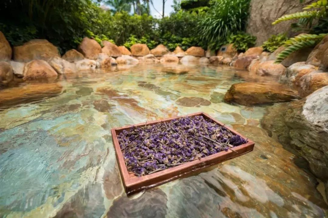 温泉区 来自搜狐网