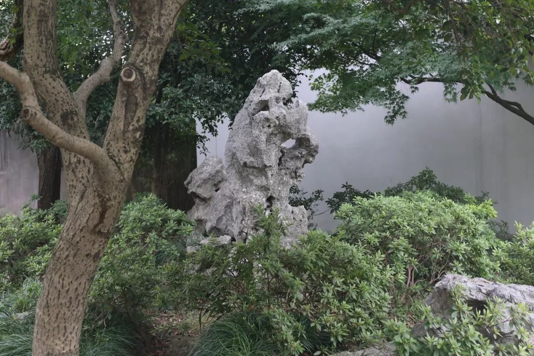 各有千秋的南北方园林