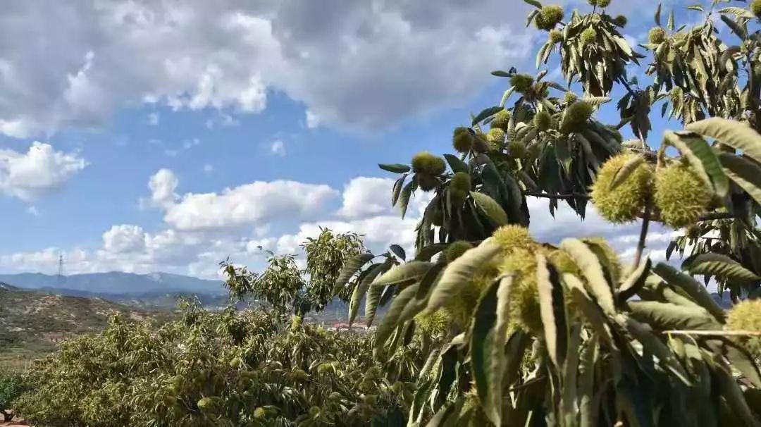 青龙县经济总量2018_经济