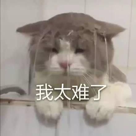 dfcd3d62a5e145eab84f97dc9607724d.jpeg