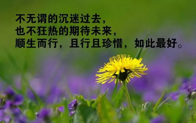 2019最近很潮很走心的正能量励志语录 阳光唯美的句子