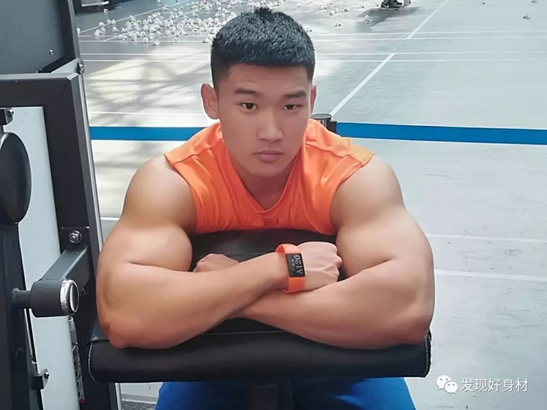 体重82kg,河北人,吉林体育学院,健美力不力量无所谓,主要目标肌肉群