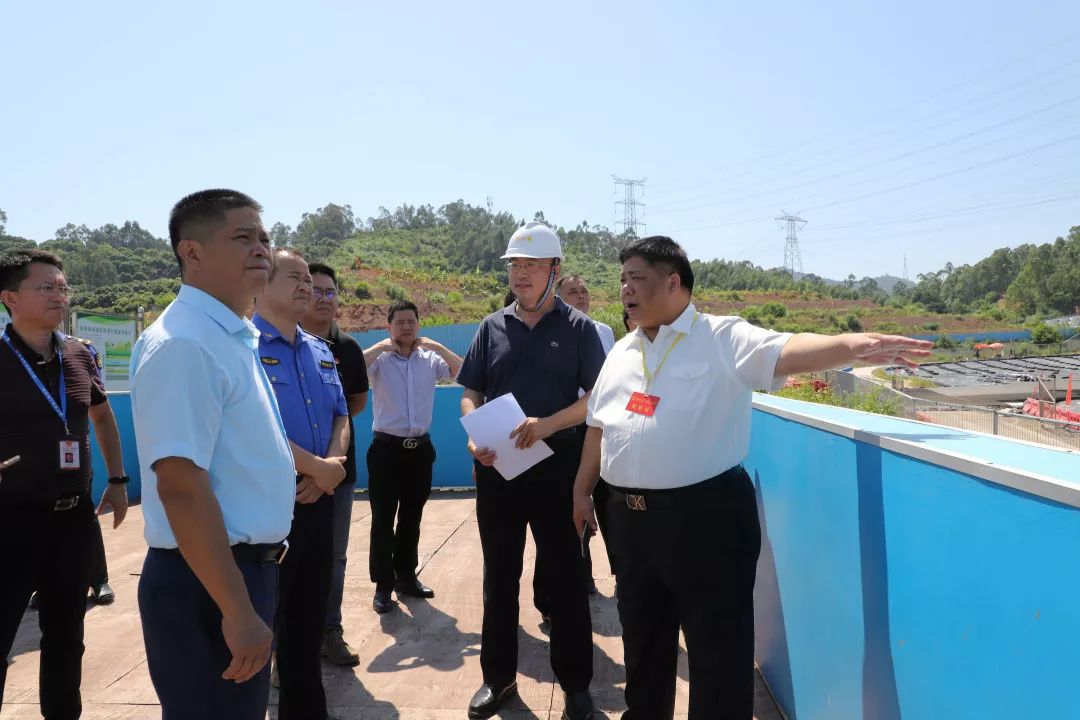 谢岗镇人大检查城乡生活垃圾处理情况推动洁净城市工作有序进行