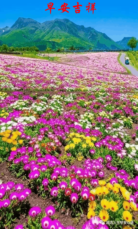 564_932 竖版 竖屏