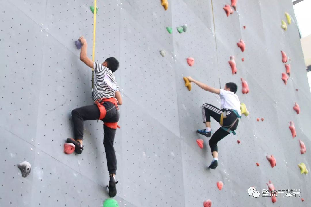 攀岩新力量|重庆市少年儿童攀岩锦标赛举行
