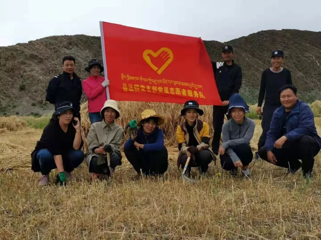 西藏白朗县人口_西藏日喀则白朗县路线