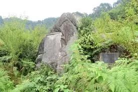 猜成语 瓜熟蒂落_看图猜成语(3)